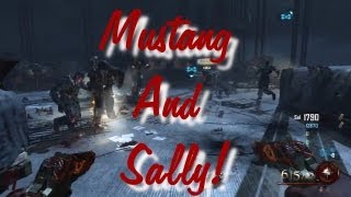 NEW!! Mustang and Sally Upgraded Weapons "Mob of the Dead"