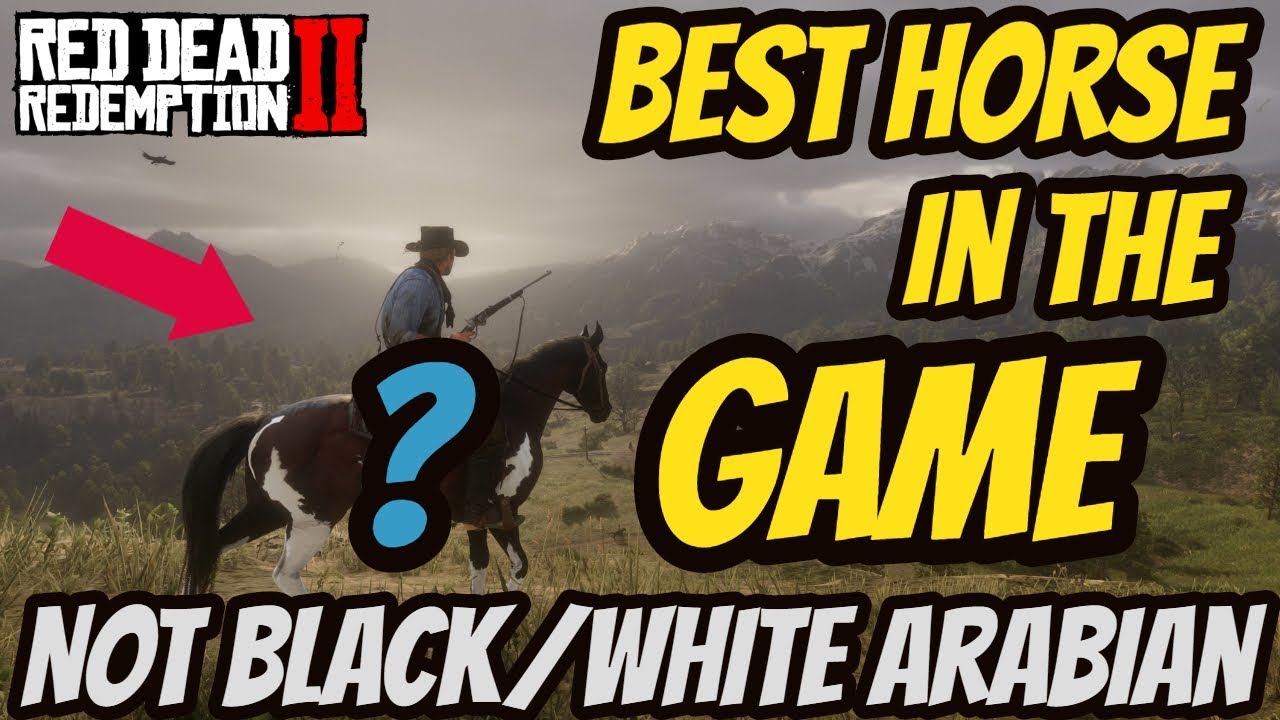 Red Dead Redemption 2 Best Horse Not Black White Arabian Rose