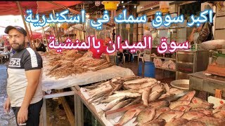 سوق سمك البحر في إسكندرية  اسعار السمك وكمان وجبات جاهزة وارقام توصيل