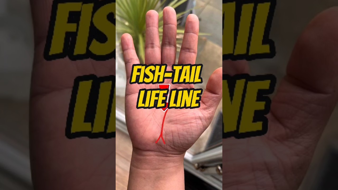 The secret behind a life line splitting like a fish tail #palmistry #shortvideo #astrology
