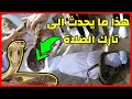 قصة شاب كان تارك للصلاة في حياته انظر كيف خرج له ثعبان عظيم في القبر قصة شاب كان تارك للصلاة في حياته انظر كيف خرج له ثعبان عظيم في القبر