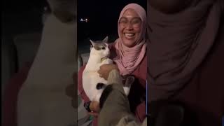 Cat upset for having toy taken away. #cute #animal #adorable #kids