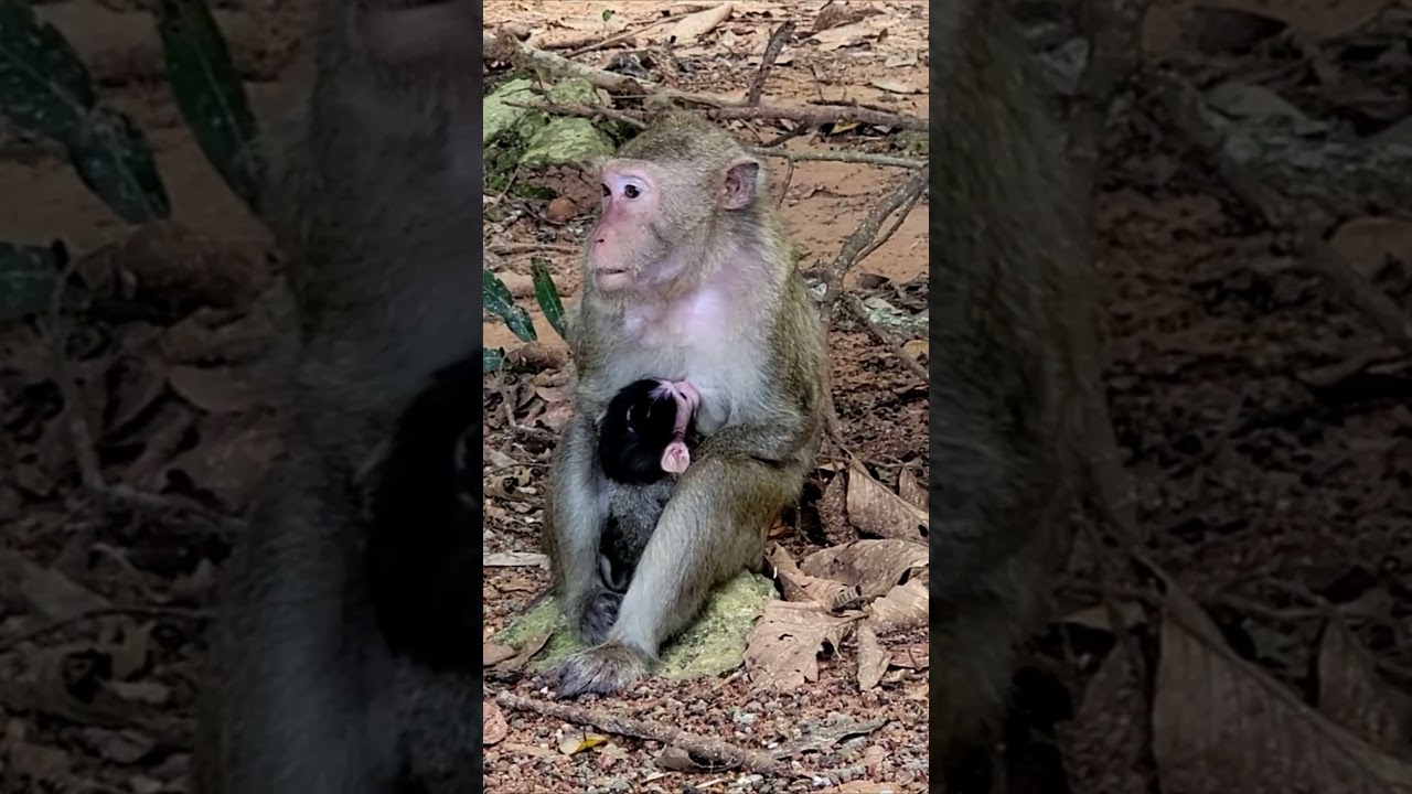 Marri firmly hugs newborn with care