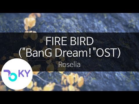 파이어 버드 뱅드림 로젤리아 FIRE BIRD BanG Dream OST Roselia KY 44432 KY Karaoke