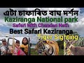 Tiger sighting  kaziranga national park  how to book kaziranga safari