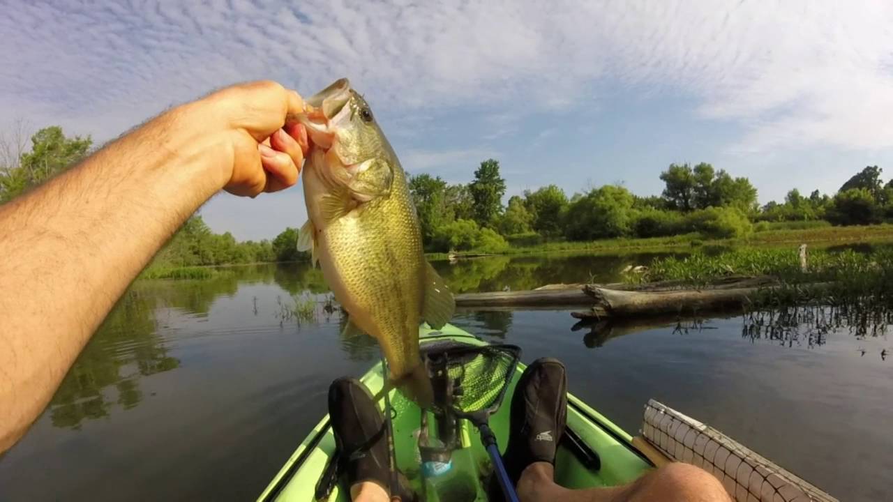 Kayak Bass Fishing YouTube