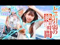 和珠のてくてくパチンコ道 vol.16