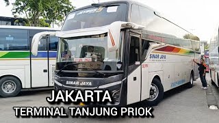 Hunting Keberangkatan Bus Sinar Jaya Dari Terminal Tanjung Priok Jakarta Utara