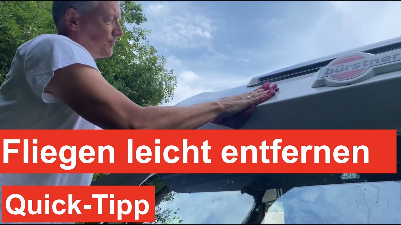 ⁣Quicktipp - Fliegen auf dem Wohnmobil oder Auto SCHNELL entfernen, dann geht's auch leicht!