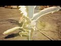 End of video