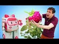 Video e giochi per bambini. La marmellata ai frutti di bosco. Robocar Poli giocattoli educativi