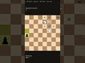 Knight💀#chess #shortvideo #challenge