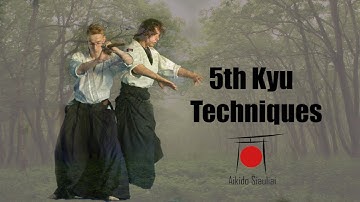 Aikido Techniques / Shomen Uchi Ikkyo Omote Waza / 5th Kyu