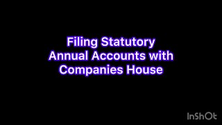 The Business Environment Companies House Filing Statutory Annual Accounts: AAT Level 2 Accounting
