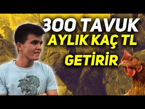 300 TAVUK AYLIK KAÇ PARA KAZANDIRIR ? | 17.500 ₺’ye Kendi İşinin Patronu Ol