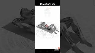 Abdominal Curto
