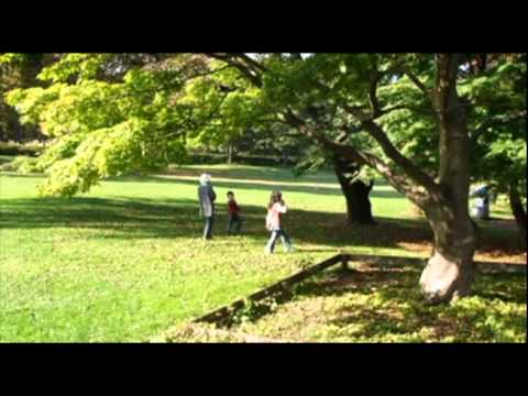 森山良子　愛の道標