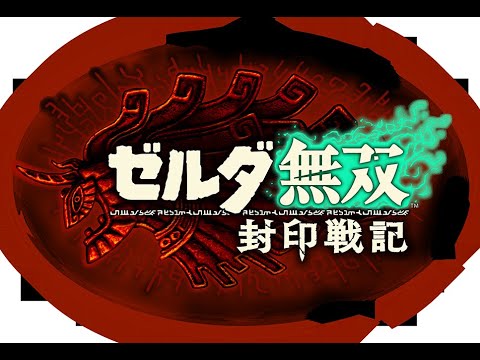 【ゼルダ無双】封印戦記やる #9【ベリーハード】#初見 #縦型配信用