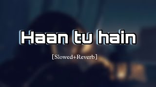 Haan Tu Hain-Jannatemran Hashmi Sonal Chauhankkpritam Sayeed Quadri Slowedreverbrain Edition