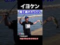 【イヨケン霞ヶ浦オカッパリ】撮影終了５分前のドラマ！プロトフラットサイドクランクフィッシュ！！#shorts #伊豫部健 #イヨケン #陸っぱり #霞ヶ浦 #バス釣り #bassfishing