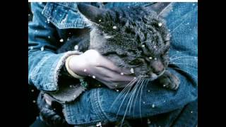 Yalan Oldun Yalan Oldun Dünya.benden Sana Yar Olmaz Dünya...