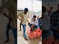 chohti sadri mandi 🧄 bhav15000#farming #lifestyle #mandi #chittorgarh #india #shorts #viral #gold