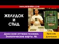 Желудок и Стыд (Даосские оттенки психики 46, Дмитриев Я.)