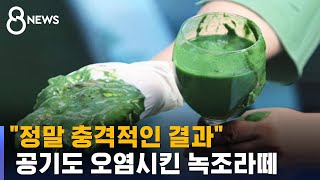 낙동강 녹조 독소, 공기로 전파…1km 떨어진 곳서 검출 / SBS