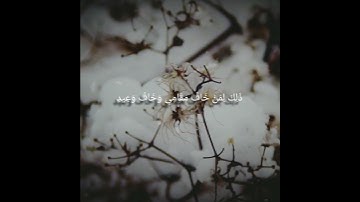 وَقَالَ الَّذِينَ كَفَرُوا لِرُسُلِهِمْ لَنُخْرِجَنَّكُمْ - القارئ شريف مصطفى