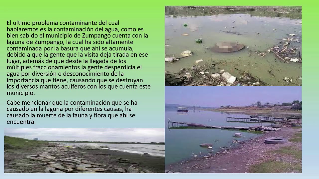 O Problema Ambiental Descrito Nesse Texto é Causado