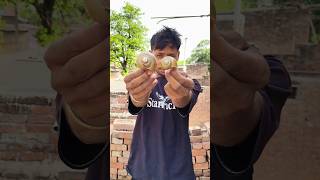 How much weight can this snail shell support? 🐌 #shorts #shortvideo
