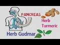 Ayurvedic Home Remedies For Diabetes