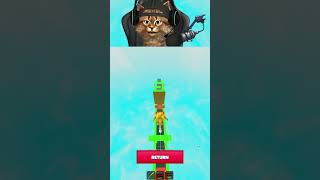 Can I Make It To The End Platform Without Falling?