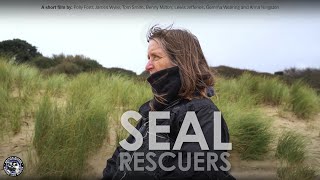 'Seal Rescuers': grey seals and climate change with British Divers Marine Life Rescue by British Divers Marine Life Rescue 738 views 4 years ago 5 minutes, 46 seconds