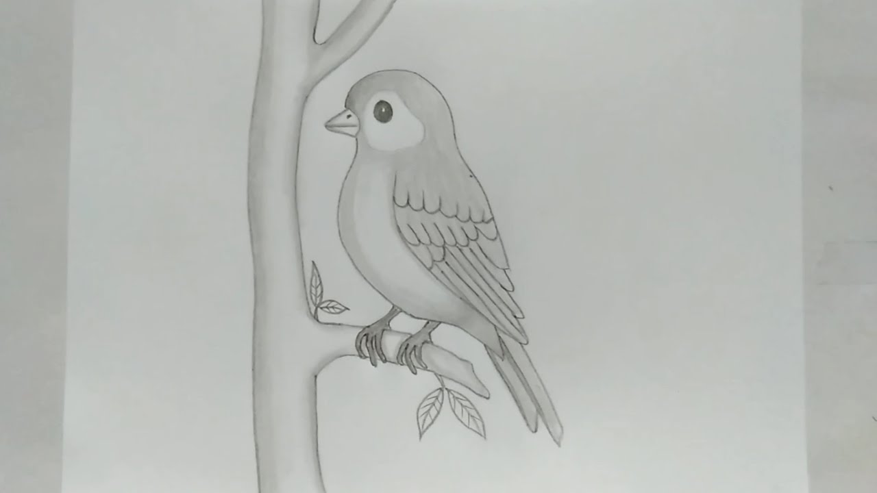 How to Draw a Bird Perched on a Branch: Easy Step-by-Step Guide