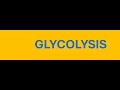 Glycolysis Demystified: USMLE Essentials &amp; Health Hacks!