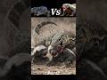 Monster Lizard vs Honey Badger Mother Protecting Her Babies 😱 #shorts #animals