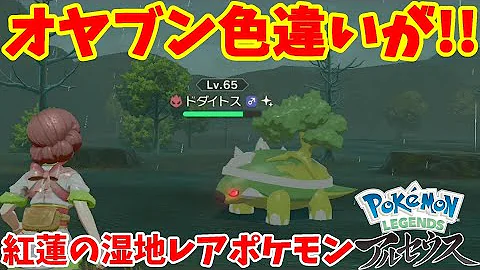 アルセウス親分ドダイダス