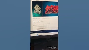 Cool Websites to use when you