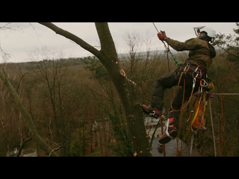 Video: Eiken Bezems (23 Foto's): De Voordelen En Nadelen Van Bezems Voor Een Bad, Van Canadese Eik En Andere, Voorbereidingstijd, Hoe Op Te Slaan En Te Drogen