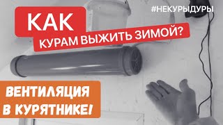 Вентиляция в  курятнике. Яйценоскость зимой. Как сохранить.