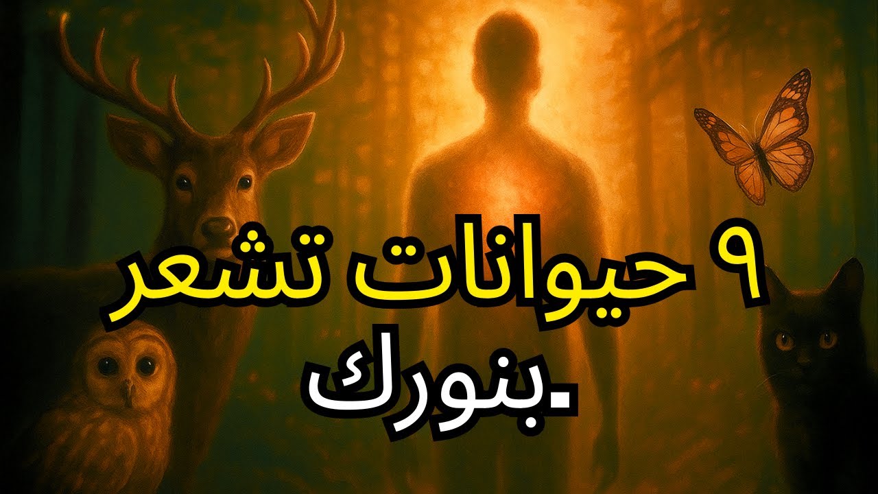 ٩ حيوانات تتعرف على مُختاري الله 🕊️ | علامات روحانية تحتاج إلى فهمها