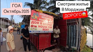 видео: 2. Гоа. Аппараты в Морджим, в шоке от цен😳 картинка: 2. Гоа. Аппараты в Морджим, в шоке от цен😳