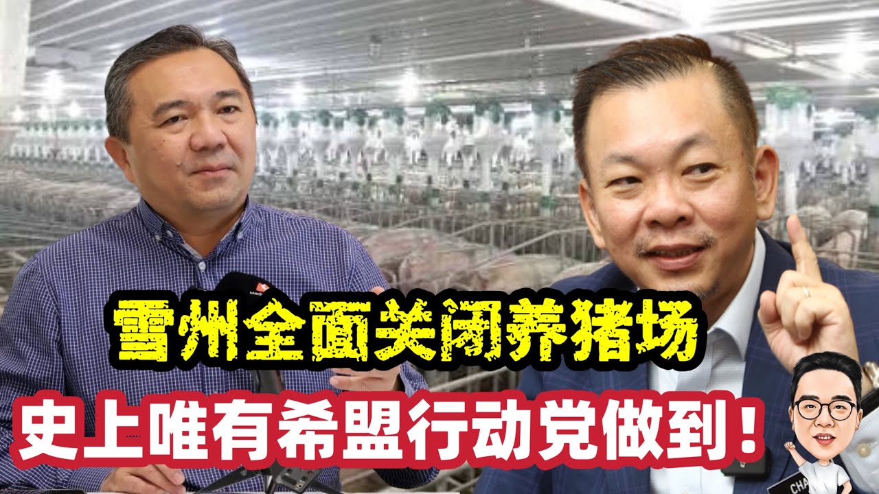 雪州全面关闭养猪场  历史上只有希盟行动党做到！ 12.02.2026 @etchannel622 