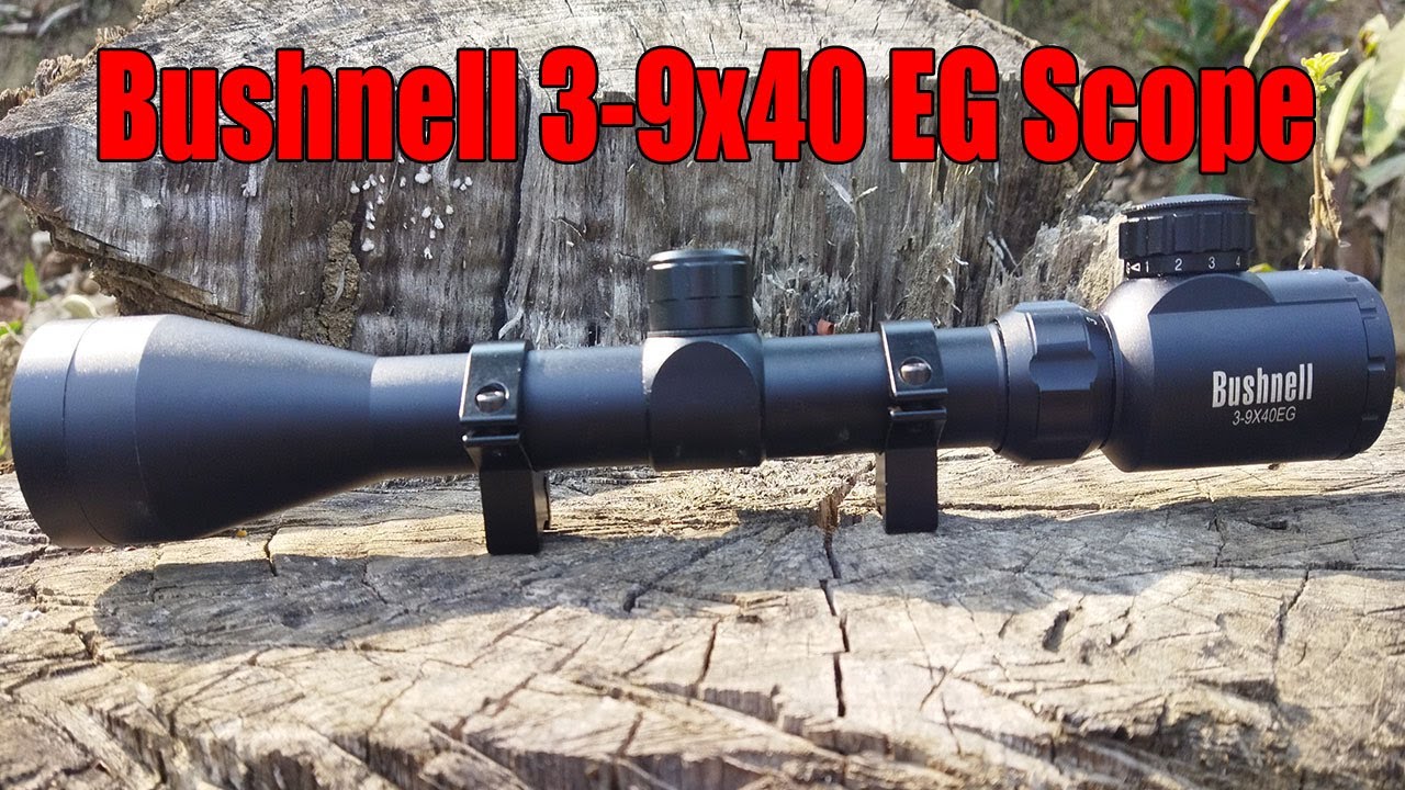 Bushnell 3-9X40EG スコープとレッドドットサイトセット Bushnell 3-9X40EG スコープとレッドドットサイトセット