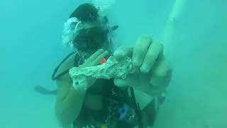 Two Iron keys recently discovered on the Atocha shipwreck site