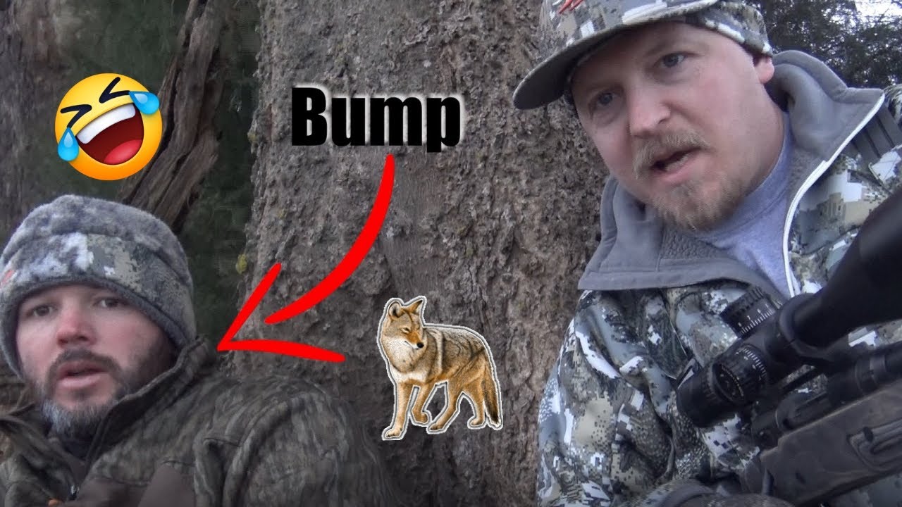 Tennessee Coyote Hunt l FEB 2020 l West TN Predator Hunting YouTube