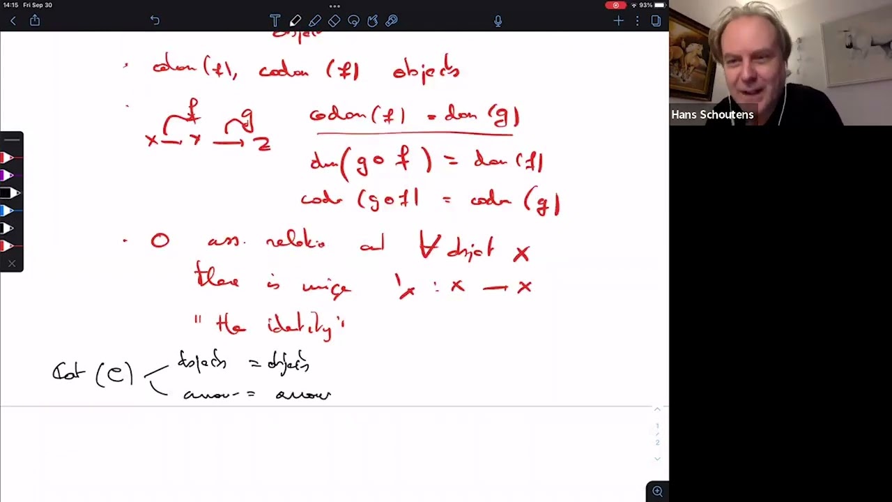 Hans Schoutens: the model theory of categories