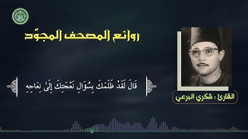 القارئ | شكري البرعي