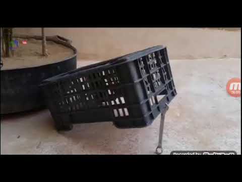 كيف صيد الحامام